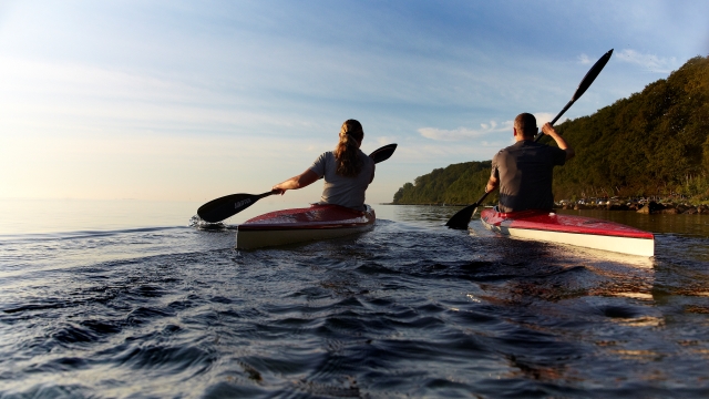 Hvor lange skal carvingski være