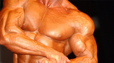 muskler.jpg