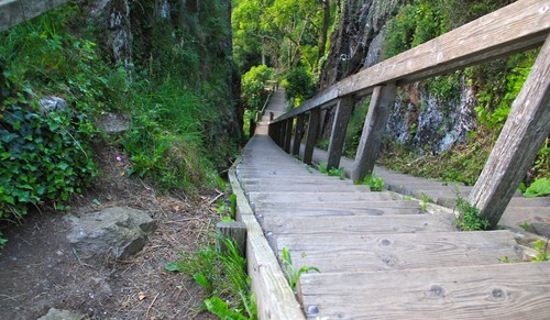 Hammershus - Jons Kapel Trappe.jpg