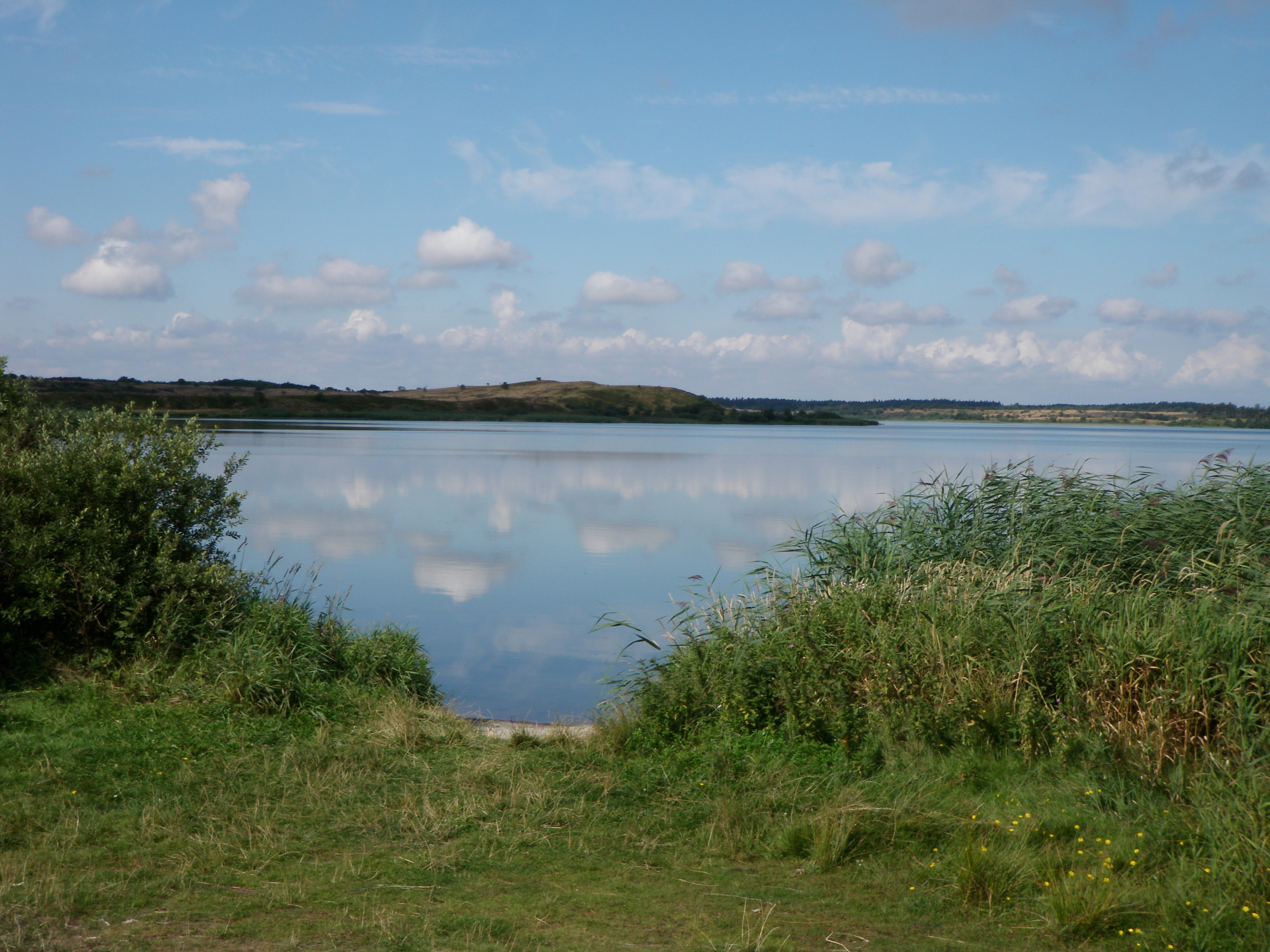 Flyndersø og Hjelm Hede - Flyndersø v. møllen (2).JPG
