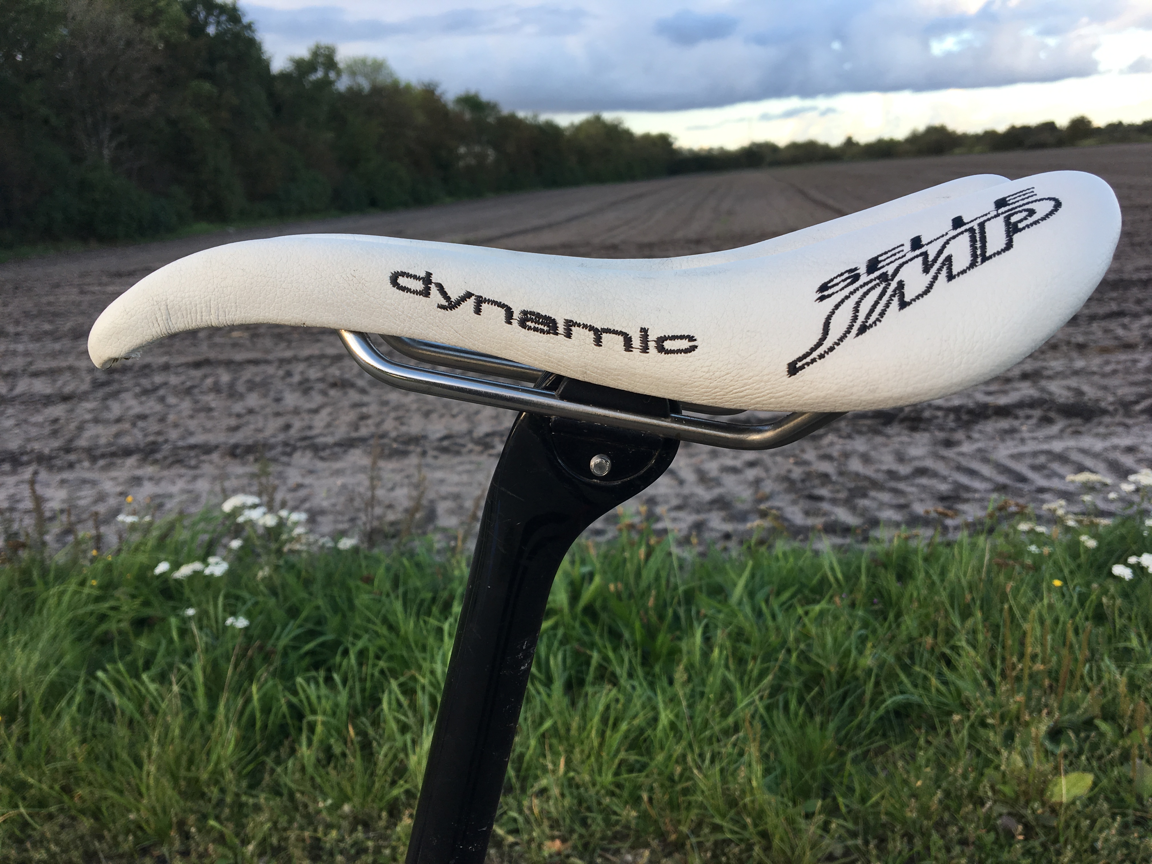 Placering af saddel.jpeg