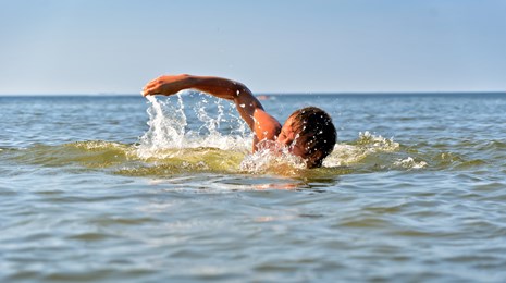 Svømning: Crawl eller brystsvømning til langdistancer?