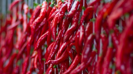 Hvad kan chili egentlig udover at være stærk?