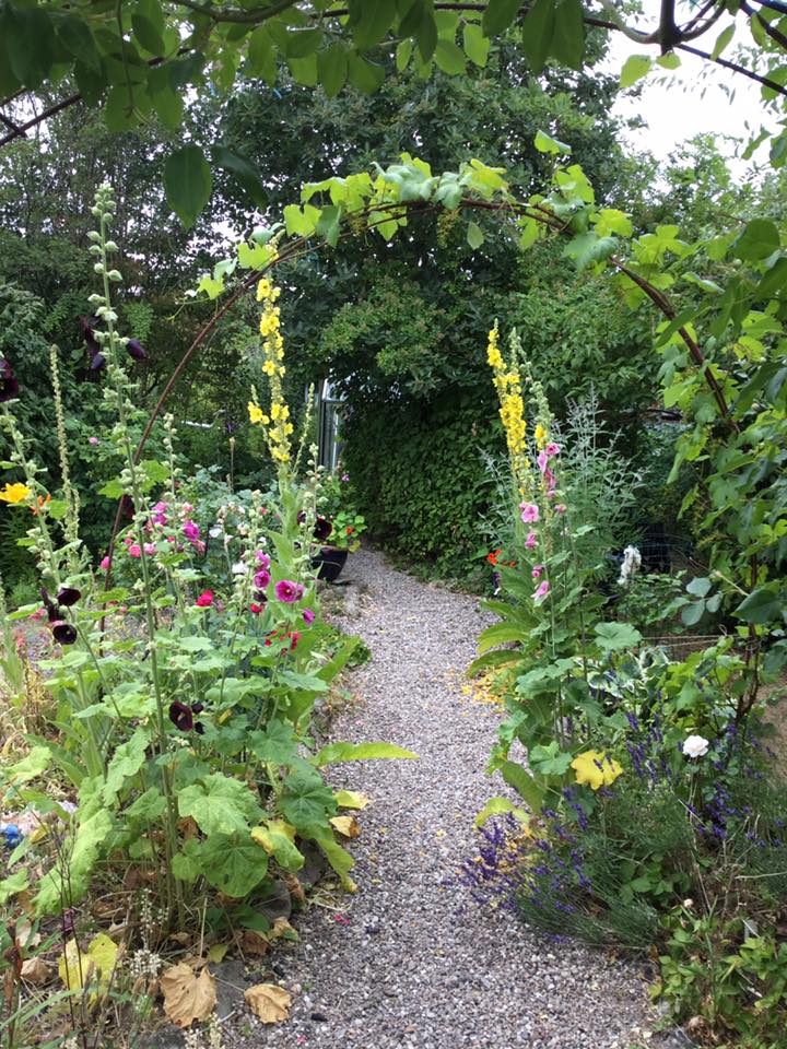 Kirstens baghave i Sorø