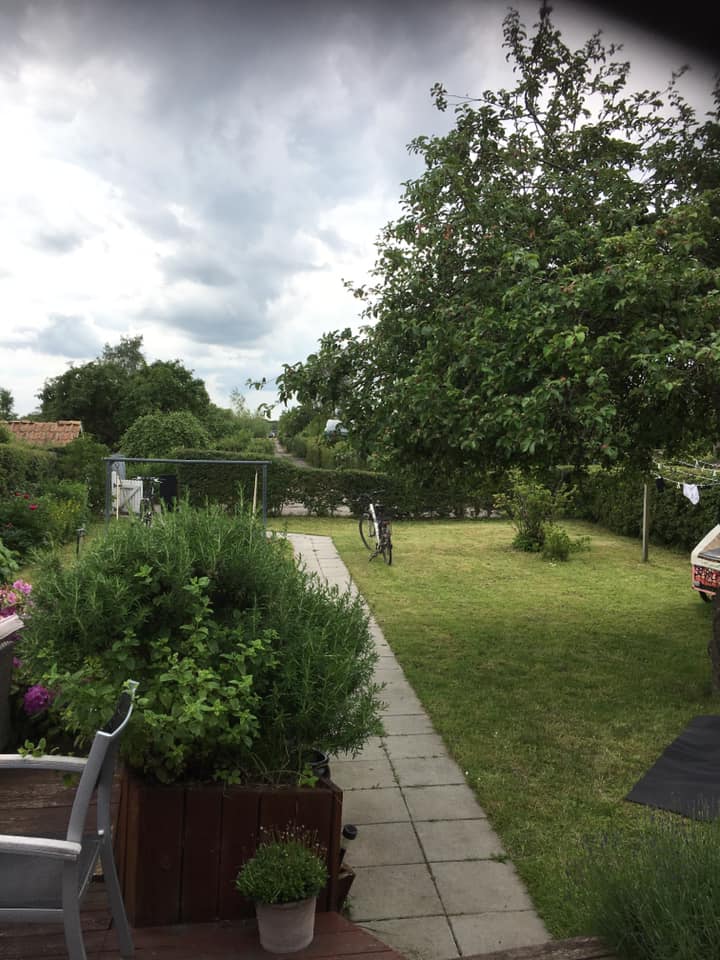 Lasse og Bentes baghave i Odense