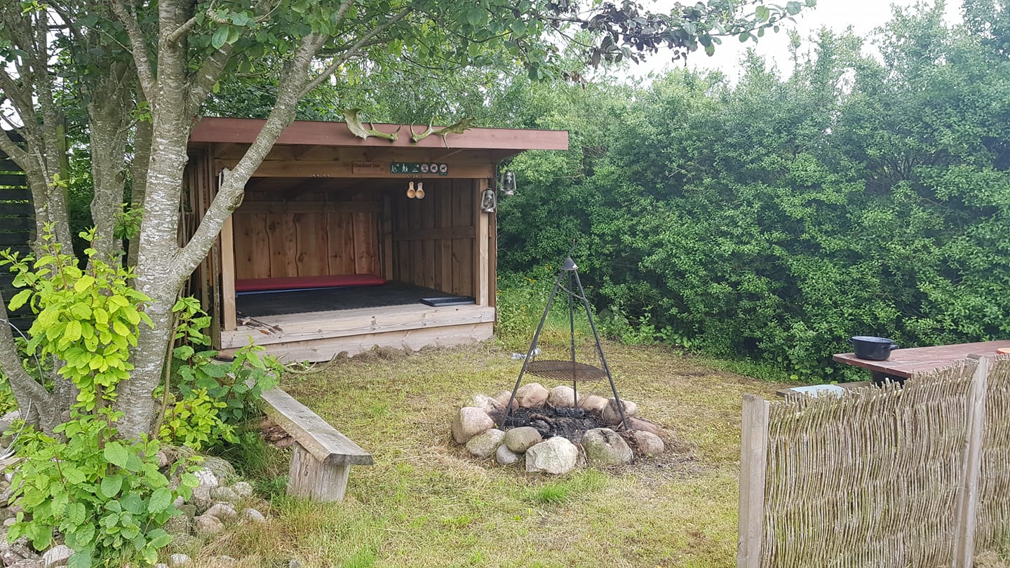 Aksels baghave i Struer