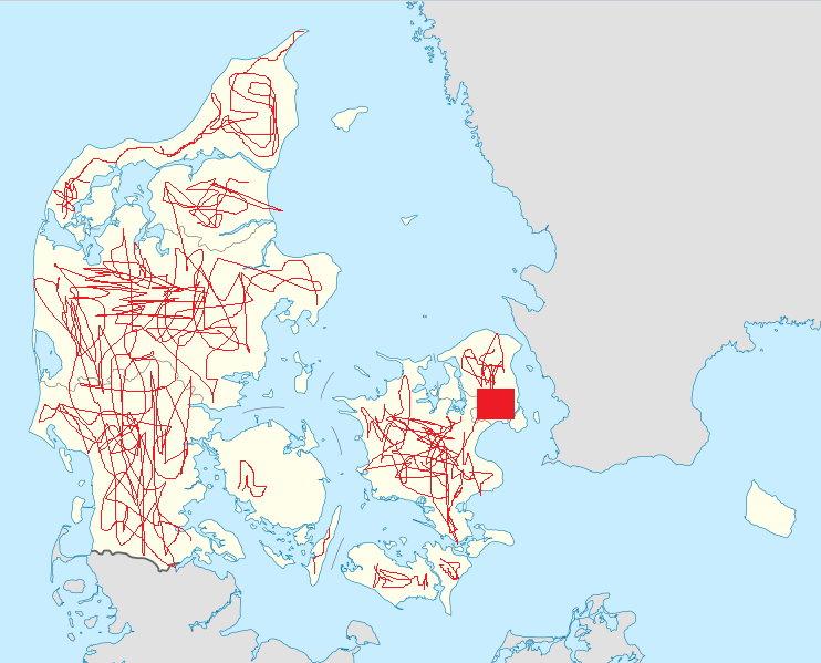 Ny app finder genveje til dovne motionister (kort)