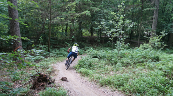 Fem steder du bør holde MTB-ferie i Danmark - Silkeborg 1