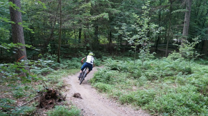 Fem steder du bør holde MTB-ferie i Danmark - Silkeborg 1