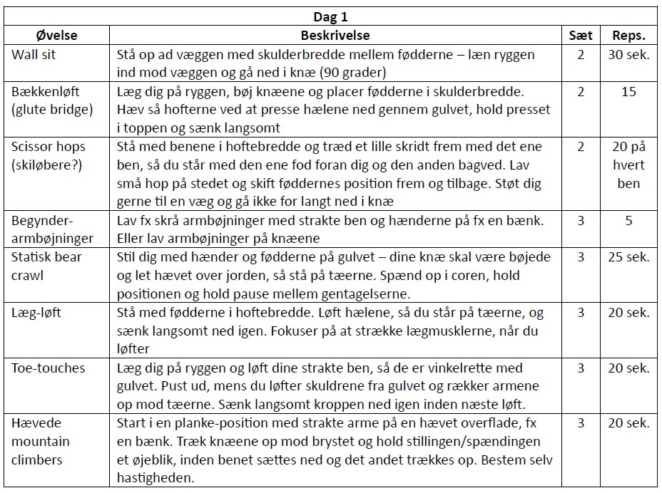 Dag 1 Skema